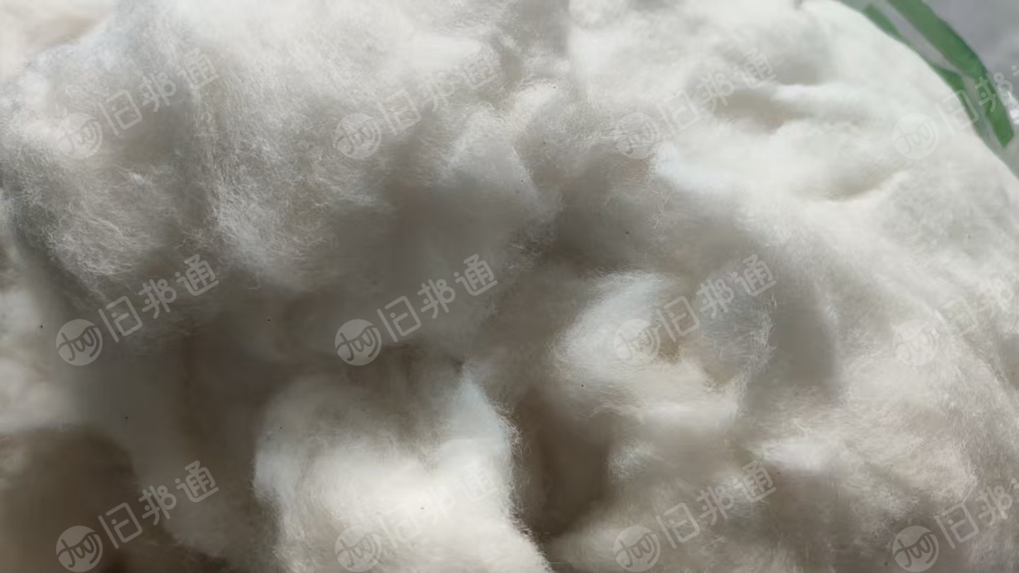 长期出售精梳回丝开的纯棉开花棉，再生棉，月供100吨