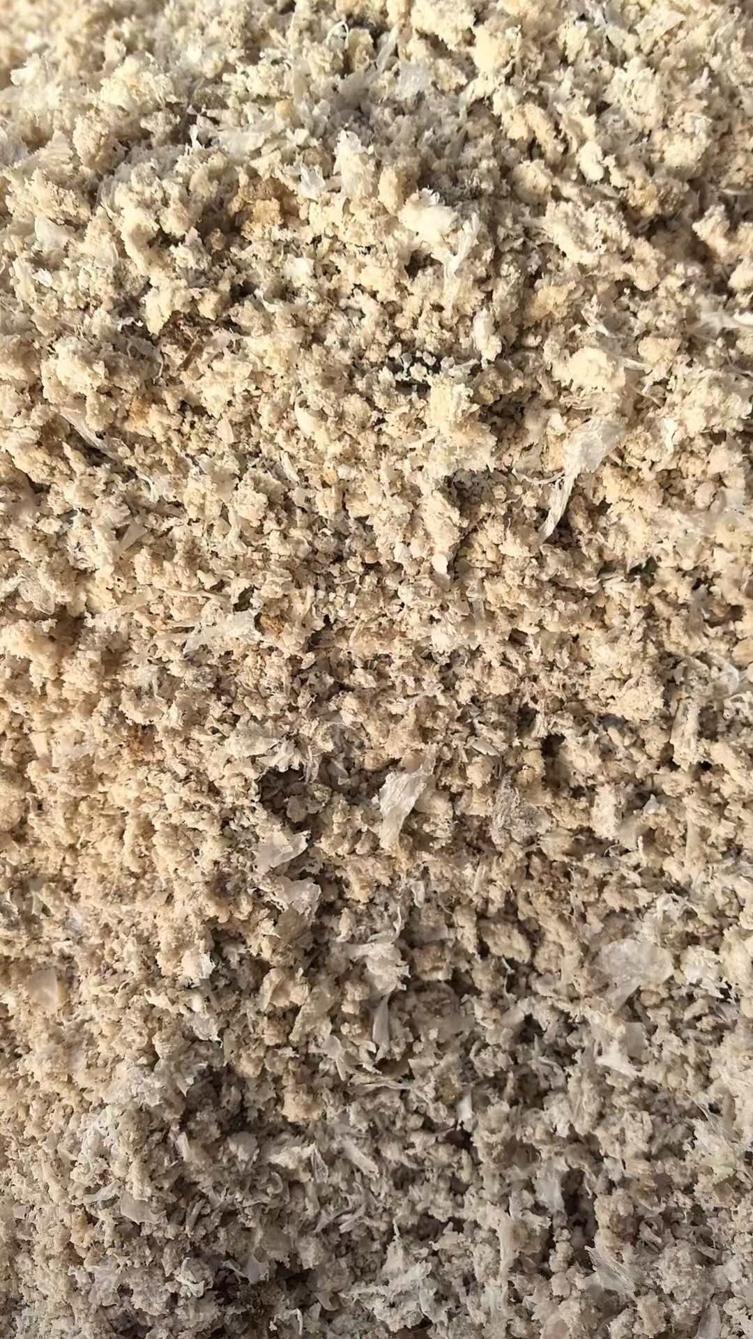 出售锂电池隔膜破碎清洗后经过单螺杆挤出后破碎料