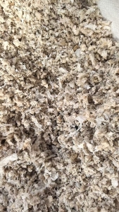 出售锂电池隔膜破碎清洗后经过单螺杆挤出后破碎料