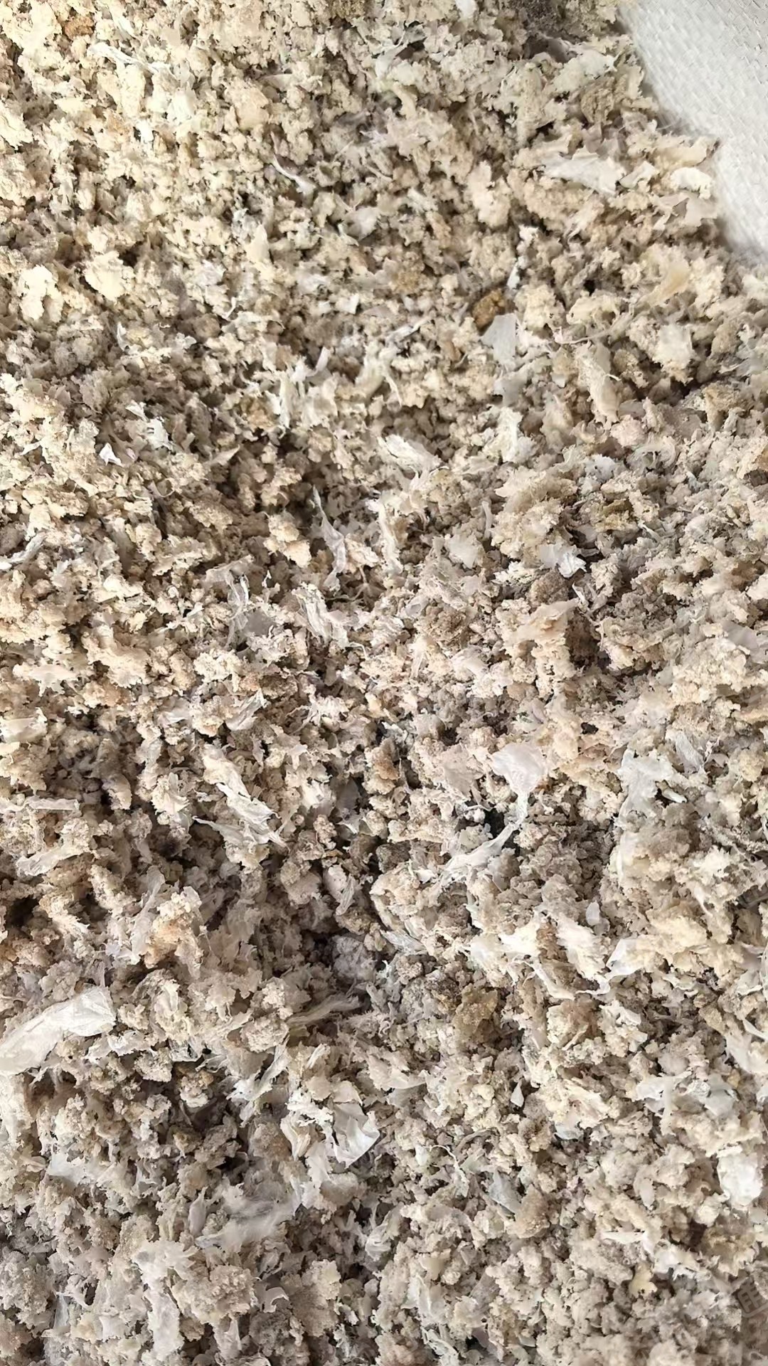 出售锂电池隔膜破碎清洗后经过单螺杆挤出后破碎料