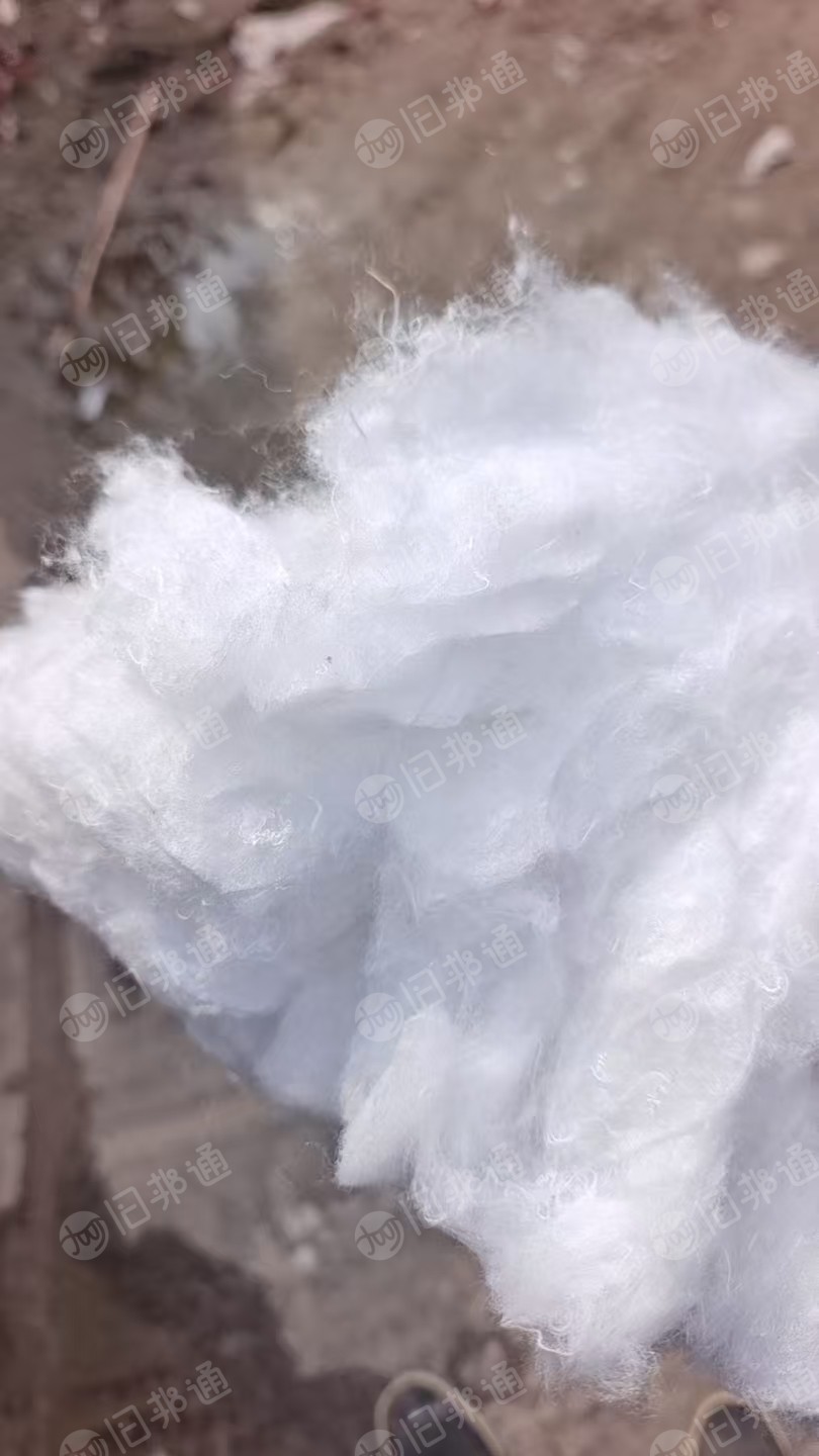 长期求购绗棉开花棉，大白跟二白都要，月需几十吨，做毛毡用，厂在江苏常州