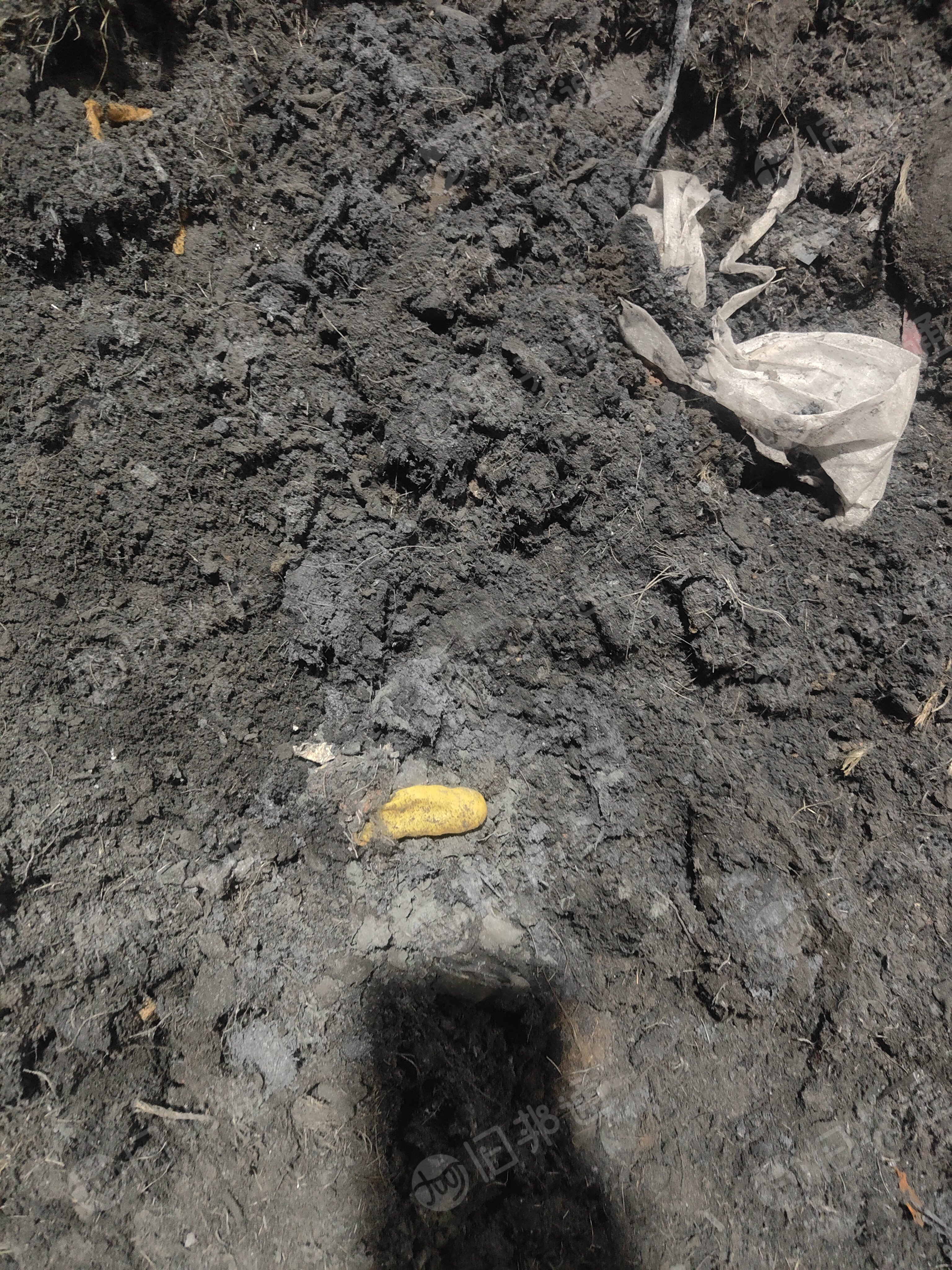 出售锌灰，抛光锌灰，现货150吨