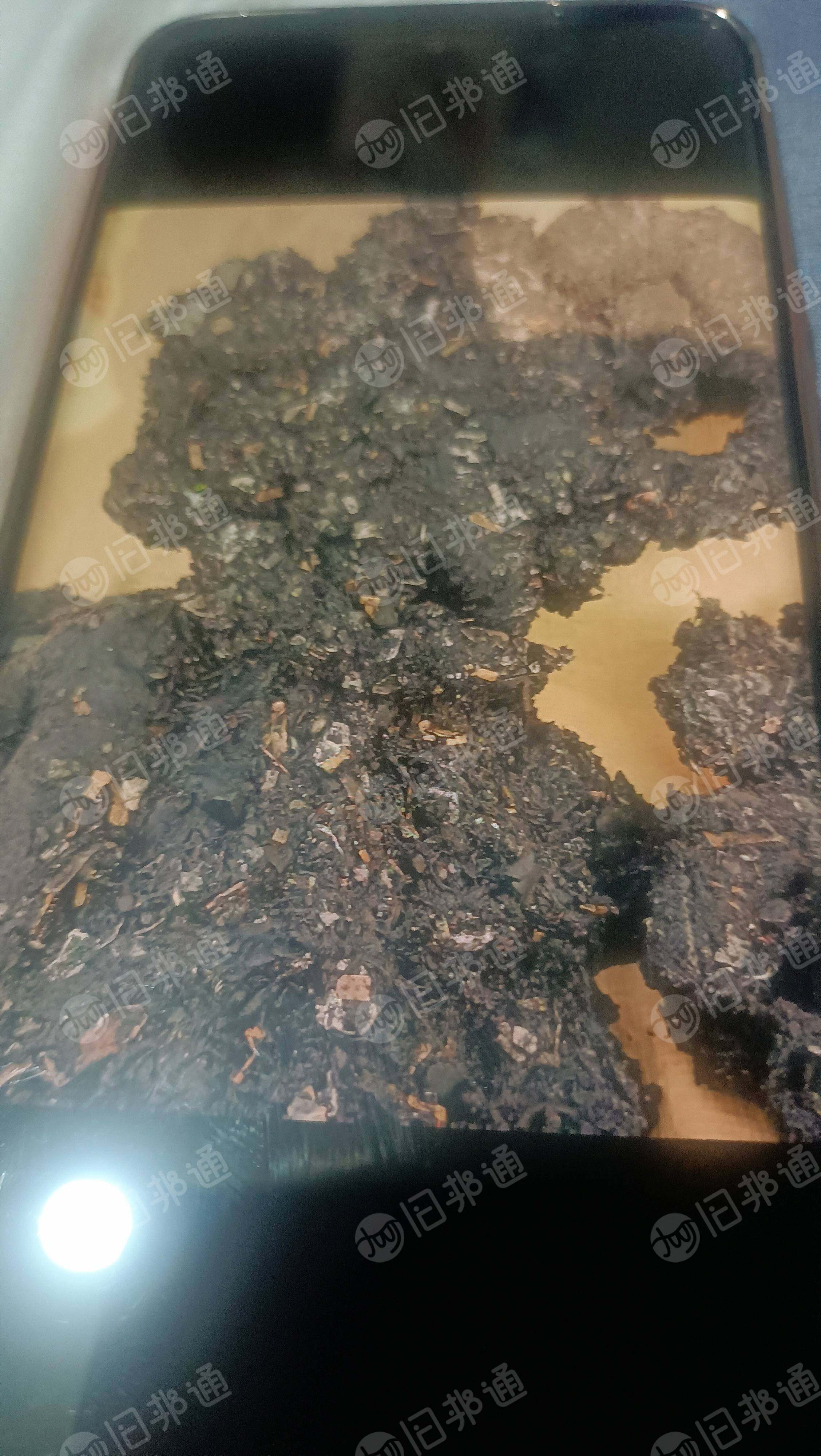 大量回收带金属PP机头料，PP排渣料