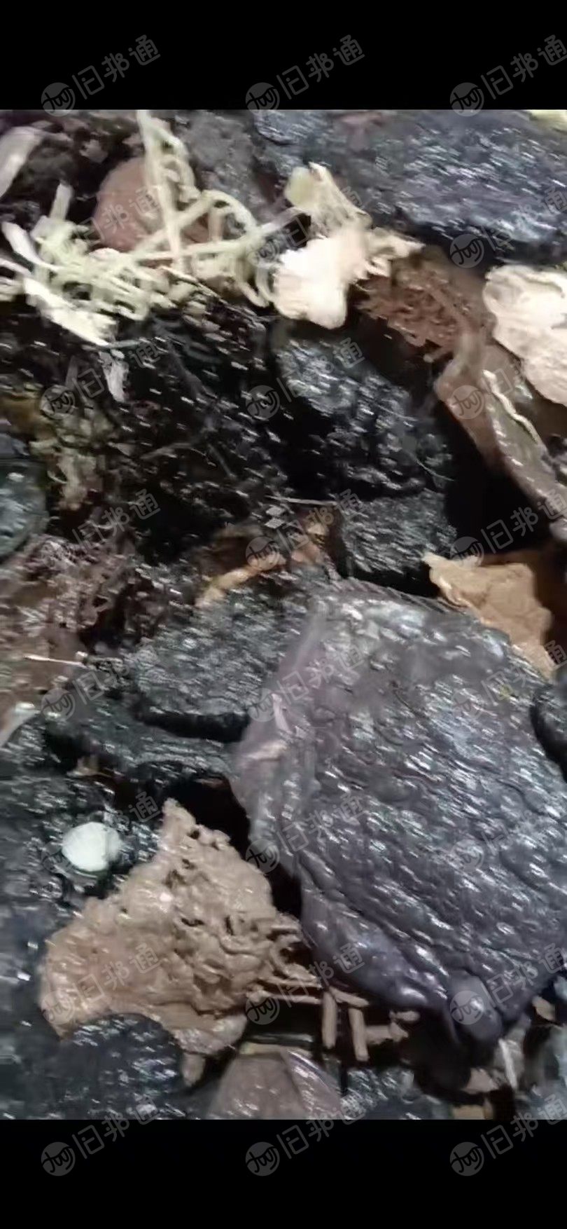 现金求购各种POK水口料 或 料头块、过水料 ，破碎用，月需100吨