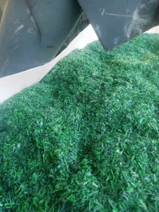 出售PET打包带破碎料  干粉， 月供300吨，现货150吨