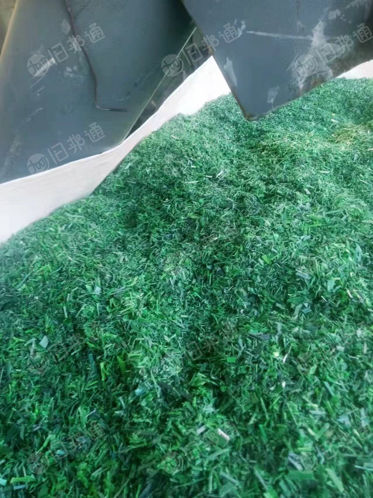 出售PET打包带破碎料  干粉， 月供300吨，现货150吨