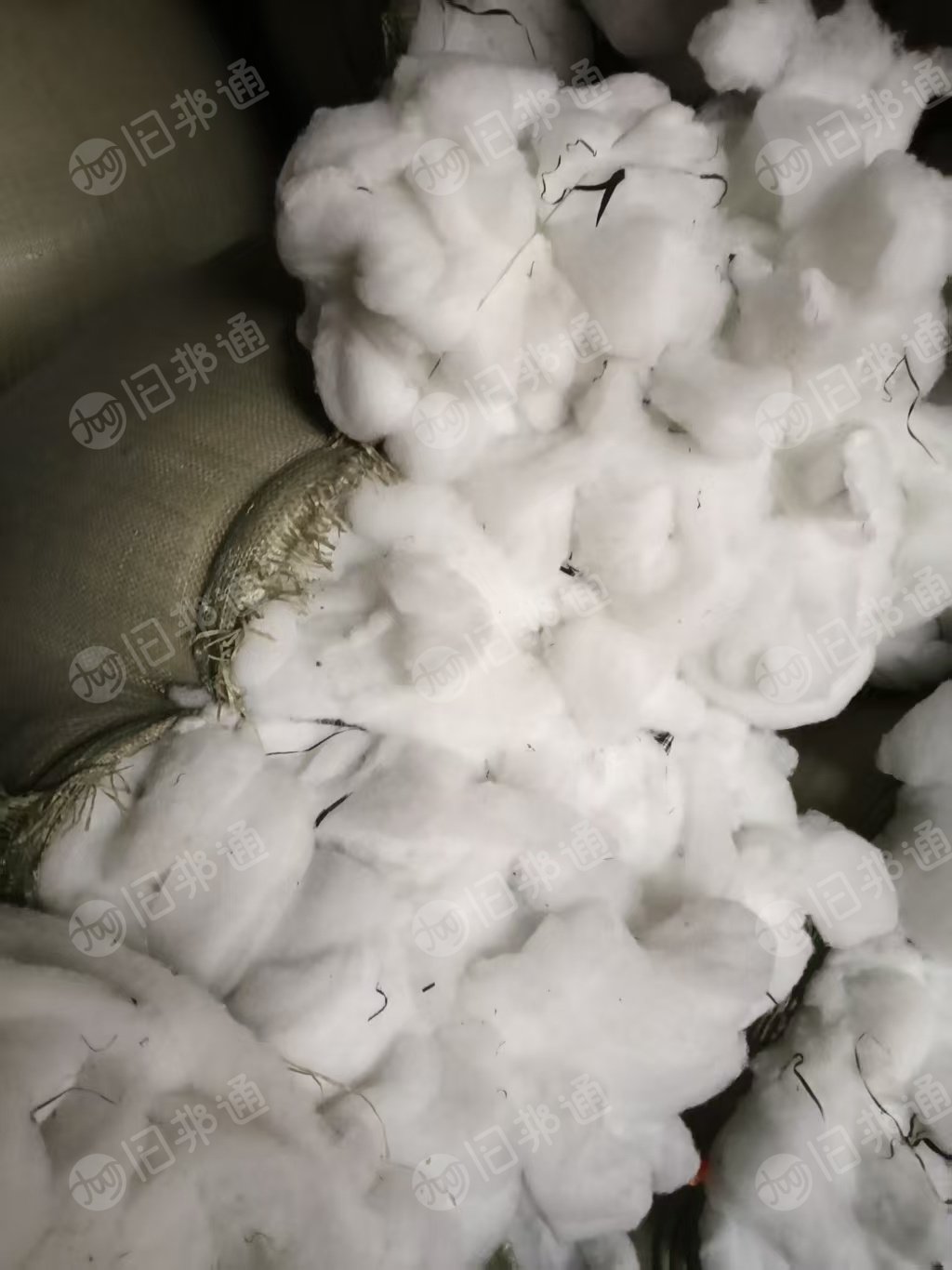 长期出售线头棉下脚料，线头棉，现货9.6米一车