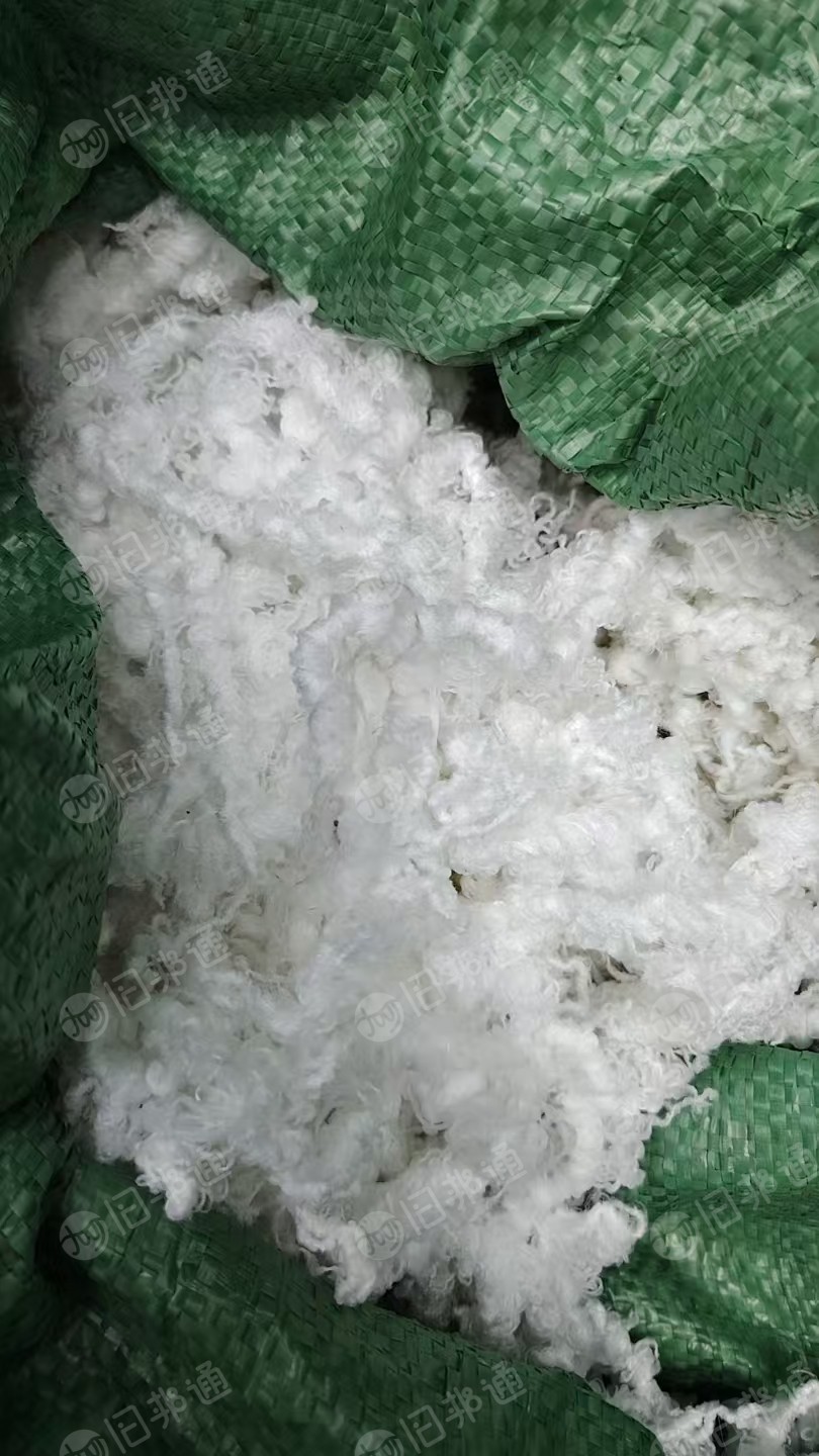 长期出售纺织厂下来的白色纯涤纶废丝，有涤纶干丝，涤纶水丝，含水量30内，有分开，月供300吨