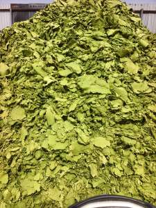 长期出售美纹纸加工的纸浆