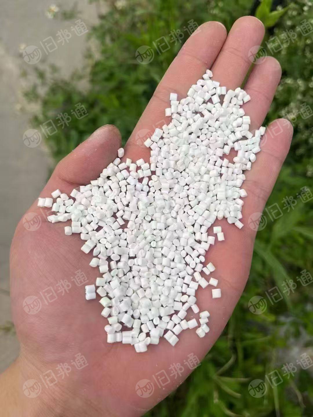 长期求购白色的pp颗粒，注塑做产品用