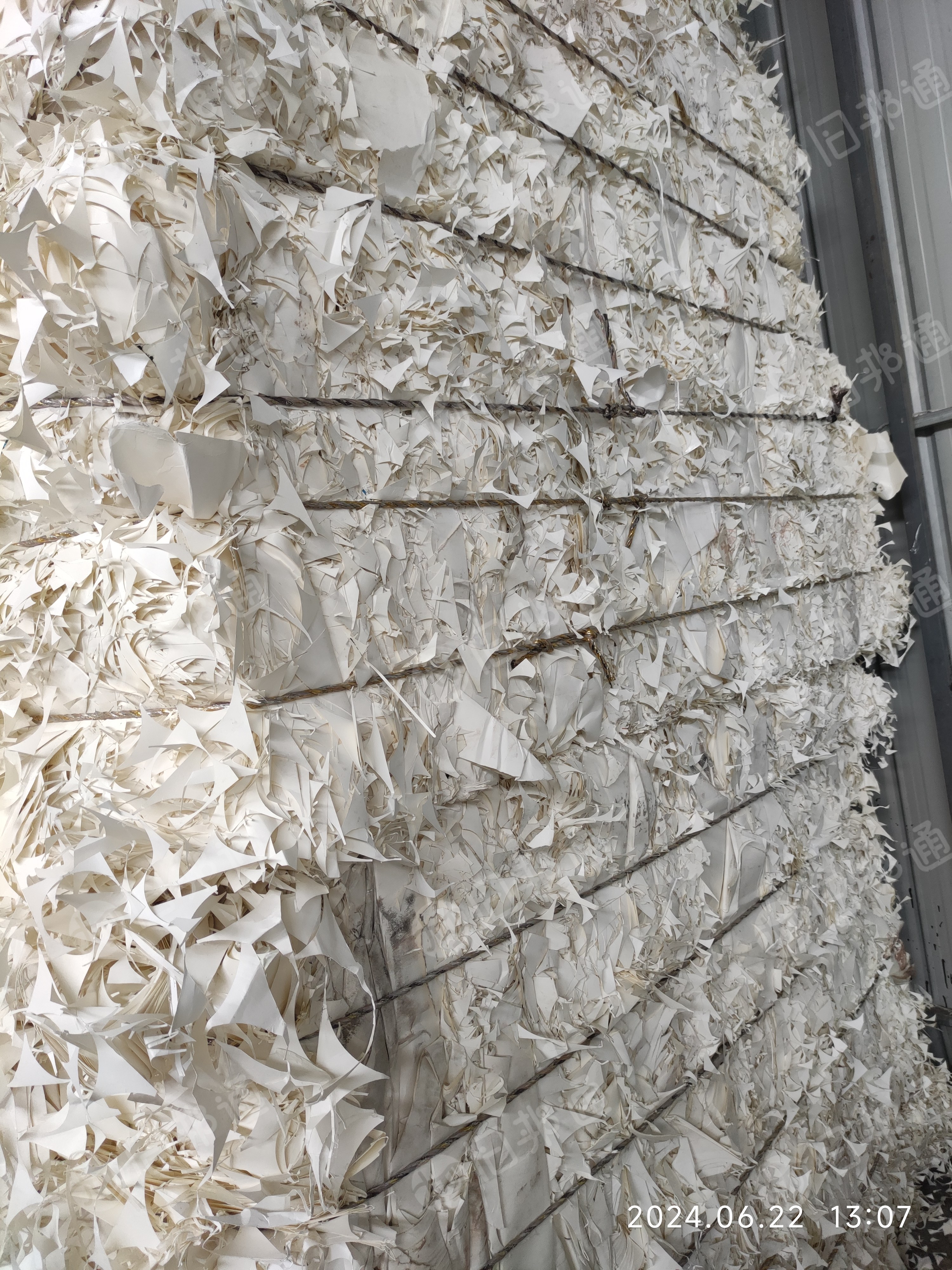 长期出售纯白口杯纸边角料，大量现货