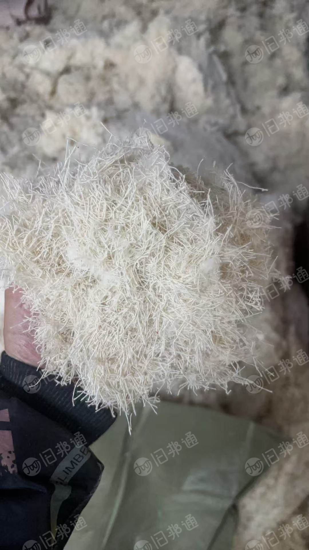 长期出售剪花厂下来的纯棉废丝，全棉废丝，月供30吨