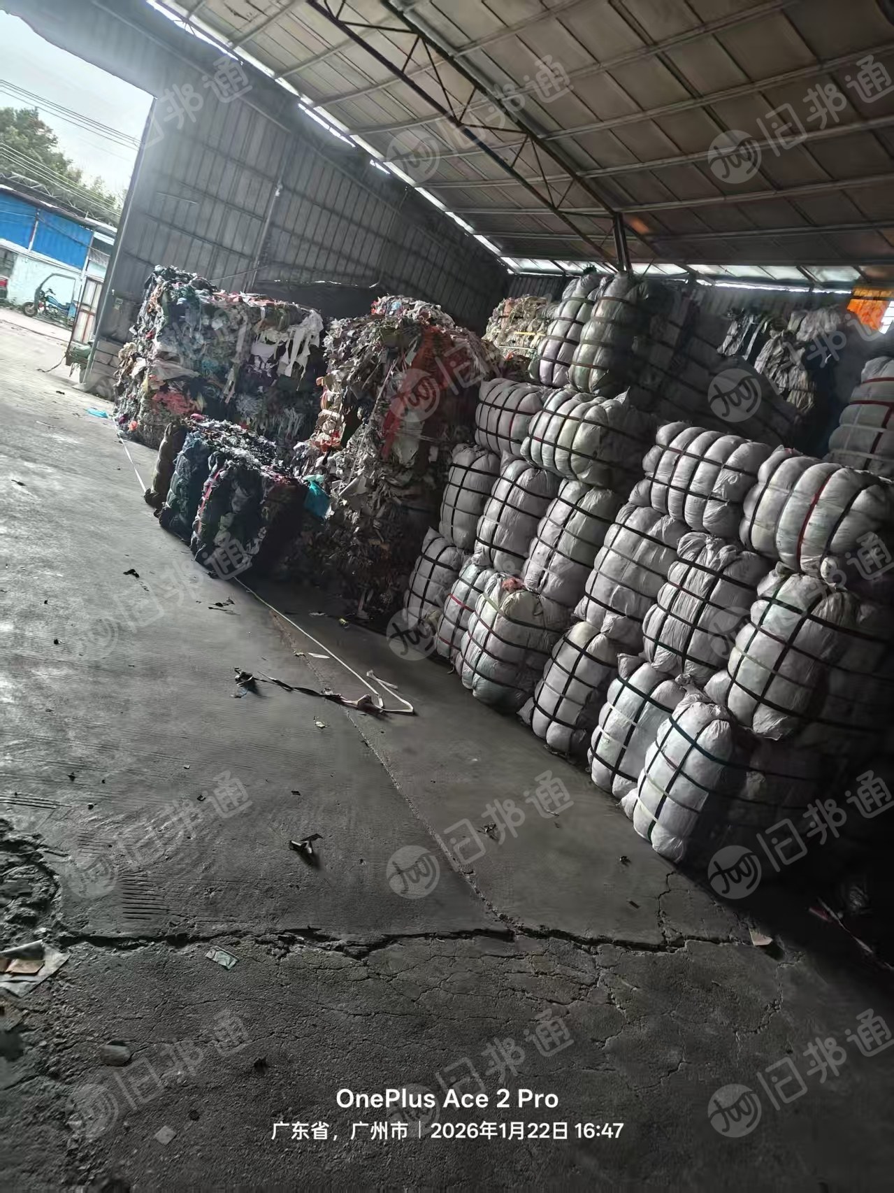 出售涤纶废丝，现货60吨