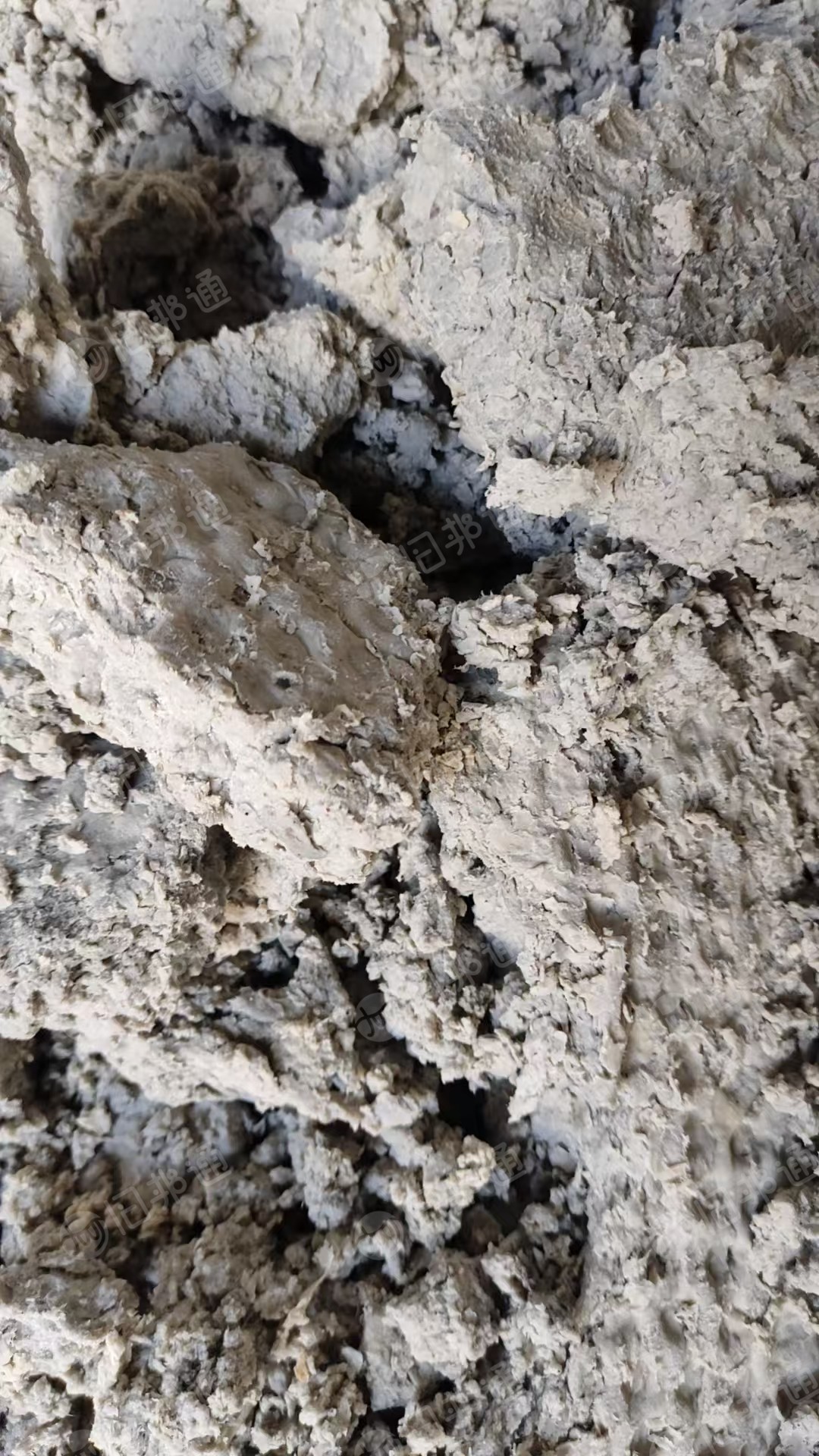 长期出售卫生纸尾浆，水分六十多