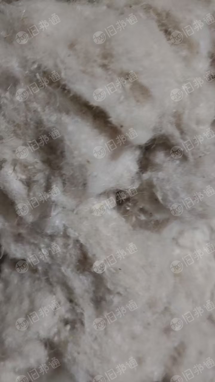 长期出售气流纺下来的涤棉风箱花，现货够9.6米一车