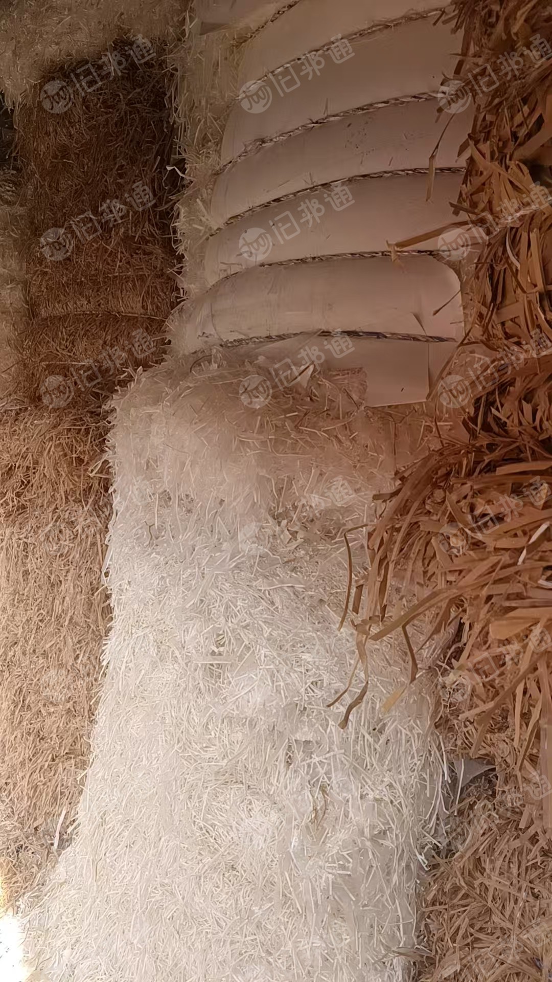 长期出售口杯纸膜边条，有白色和本色