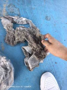 长期求购羊毛整皮下脚料，皮头下脚料，厂在山东菏泽。