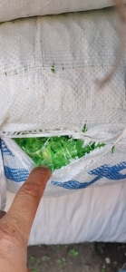 出售PET冷洗瓶片，绿瓶片，现货够车