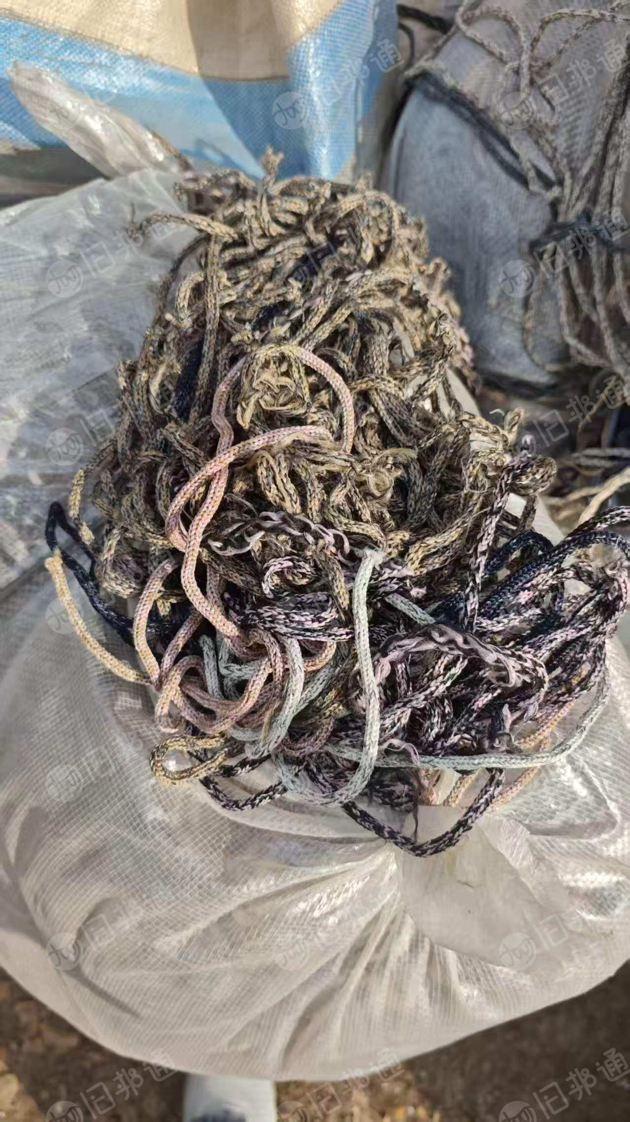 出售涤纶鞋带，涤纶织带，货在山东潍坊