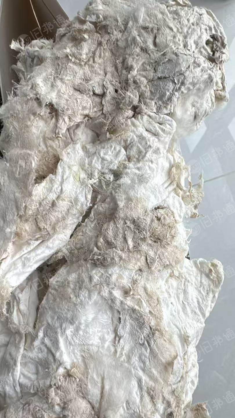 长期出售芳纶废料，芳纶料，其中芳纶1313占90%，月供30吨，货在内蒙古