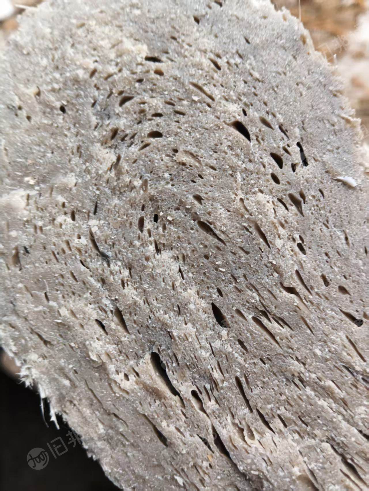 求购泡沫冷压块，泡沫热熔块