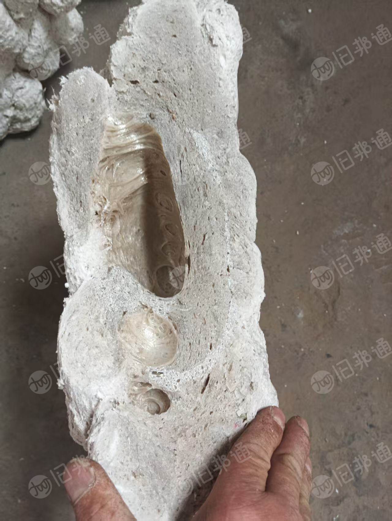 求购泡沫冷压块，泡沫热熔块