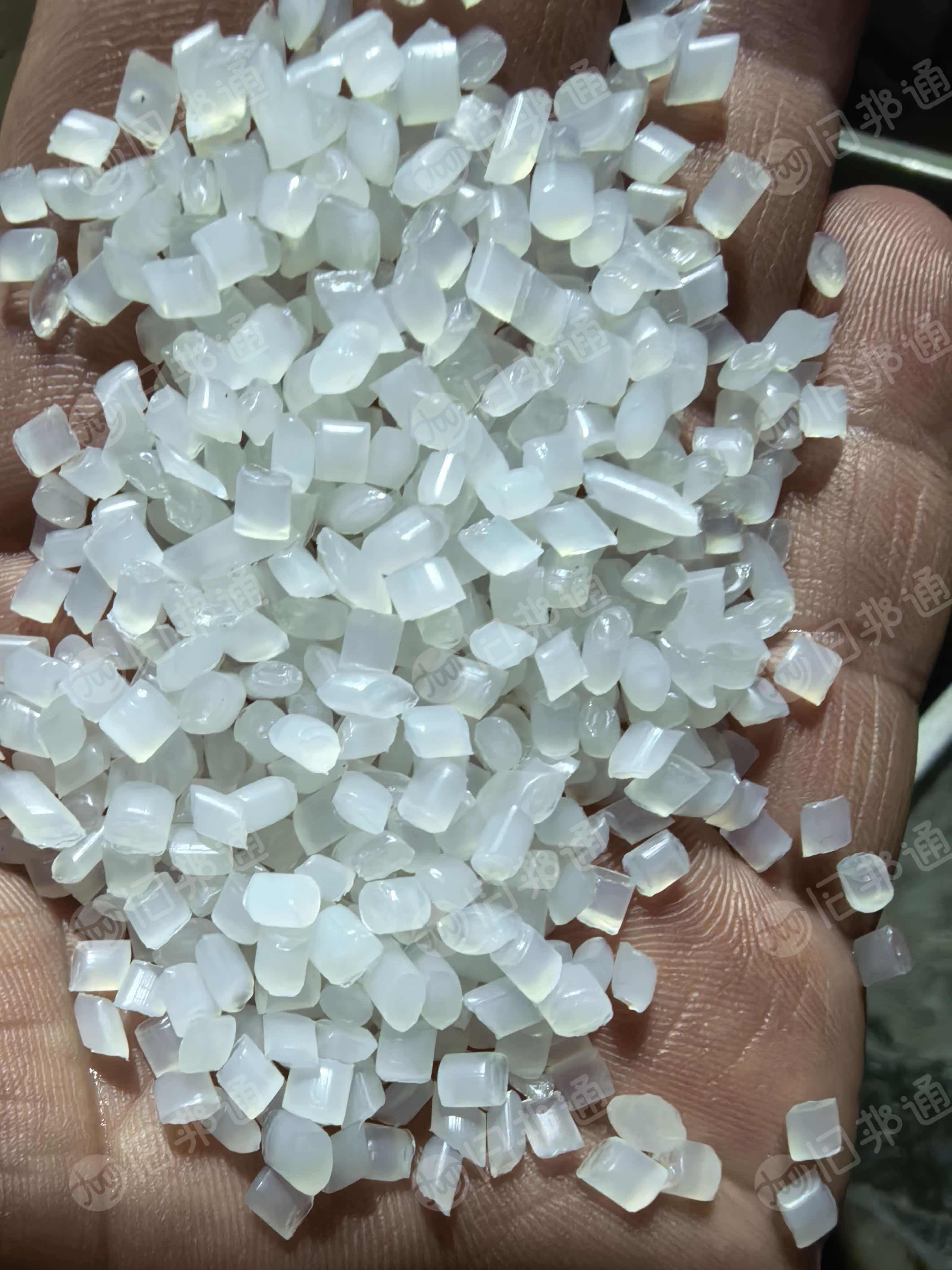 常年出售一级PP颗粒，过两层60目，两层100目滤网，没有气味