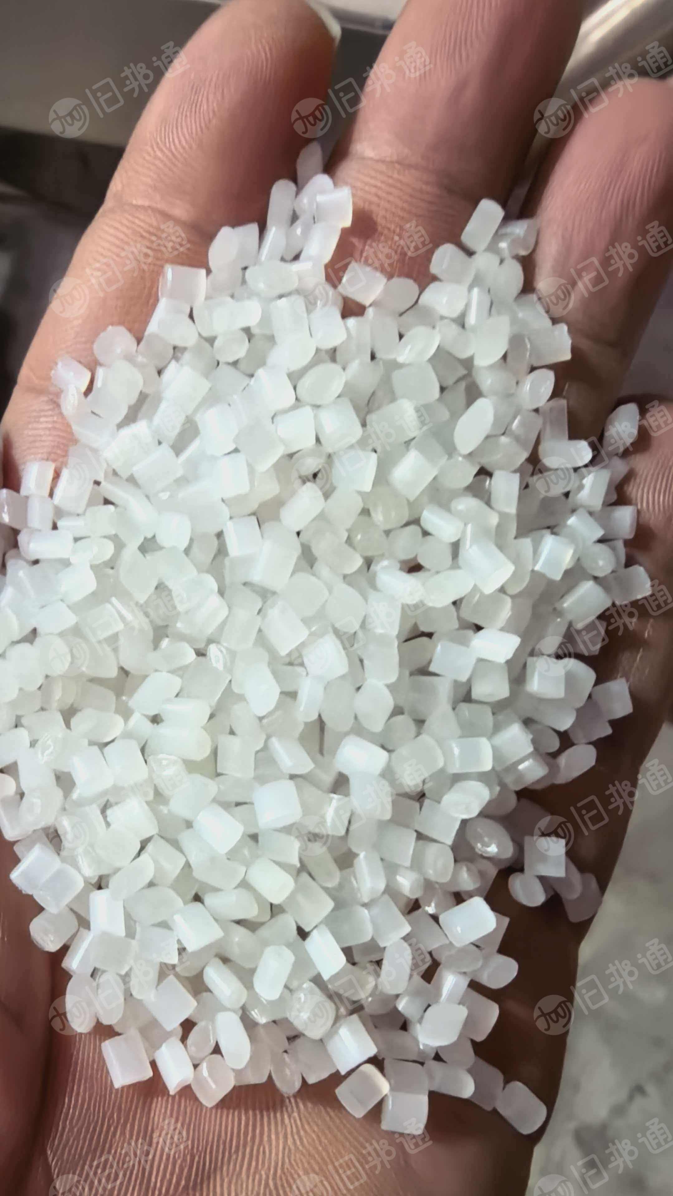 常年出售一级PP颗粒，过两层60目，两层100目滤网，没有气味