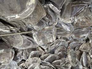 出售PET废料，每月一两百吨