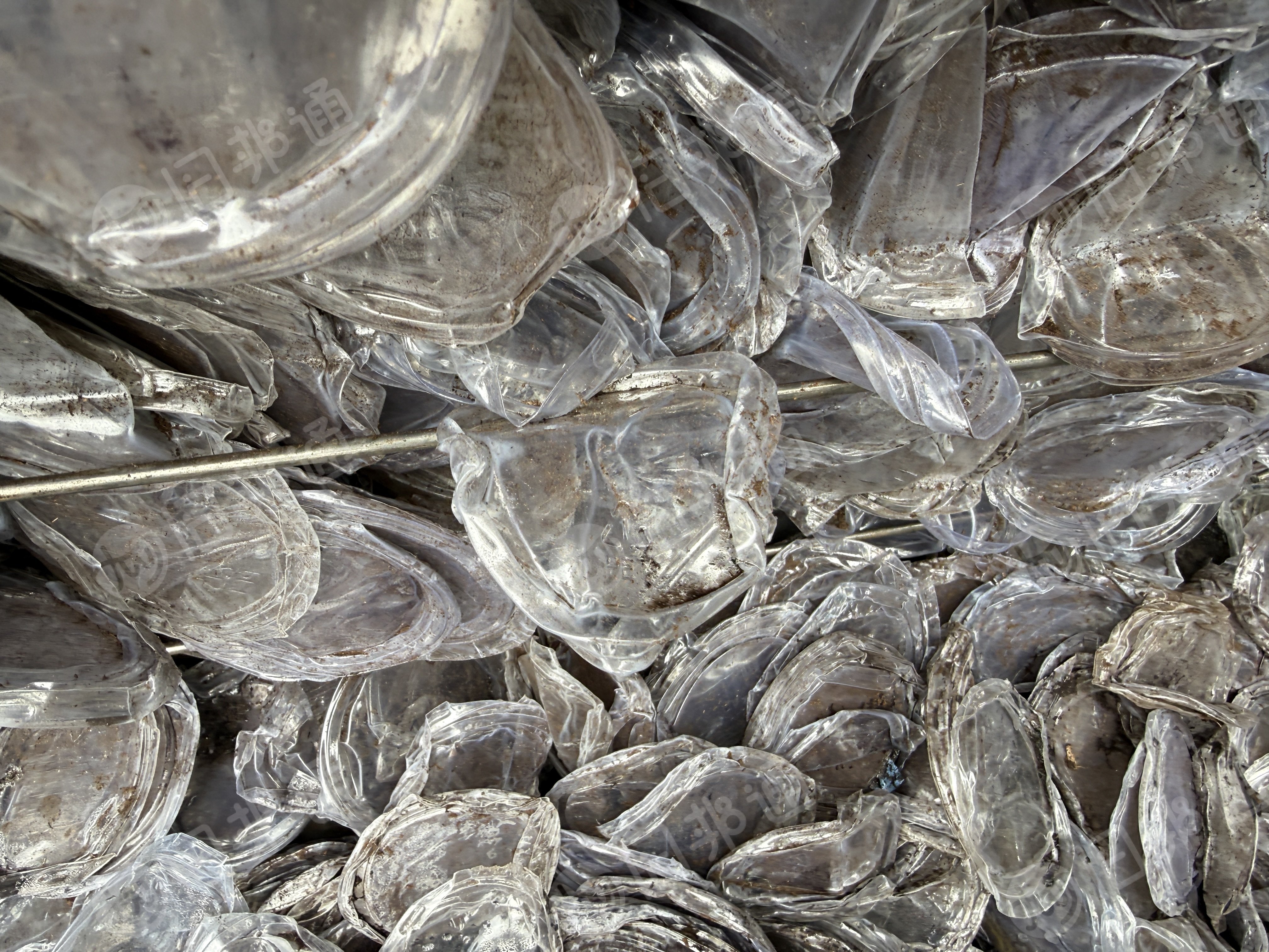 出售PET废料，每月一两百吨