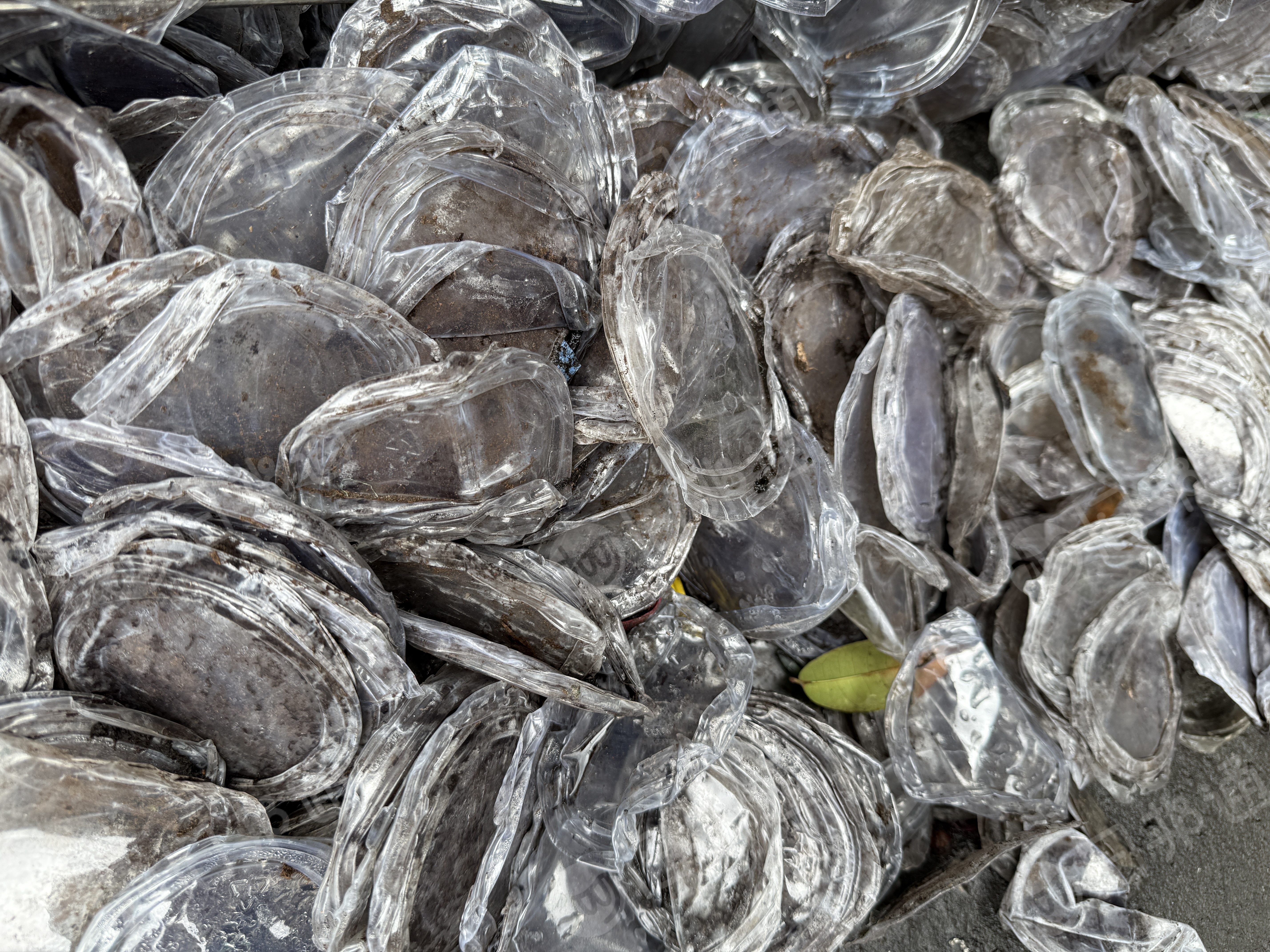 出售PET废料，每月一两百吨