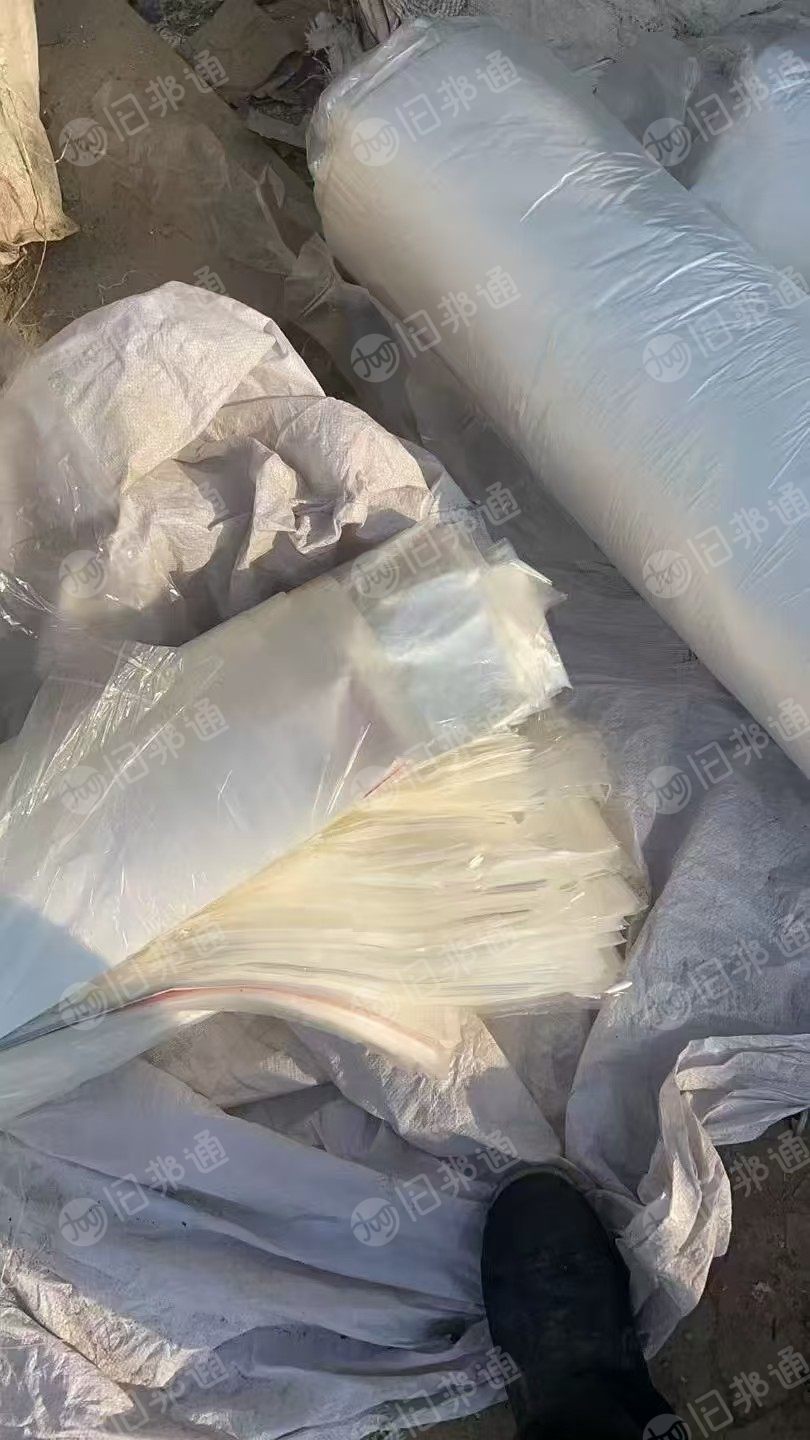 长期出售透明pp丙膜废料，不带胶，散的