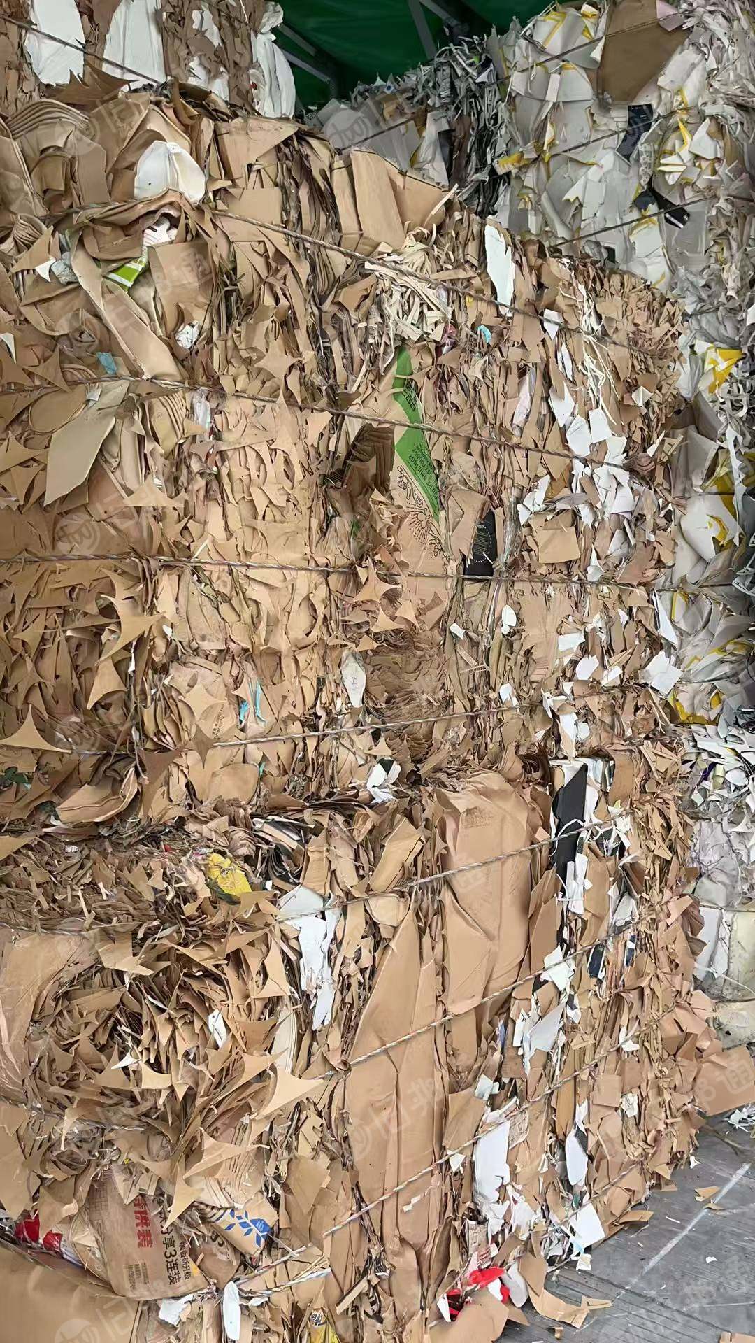 长期出售本色短纤口杯纸，杂质较多，大量现货