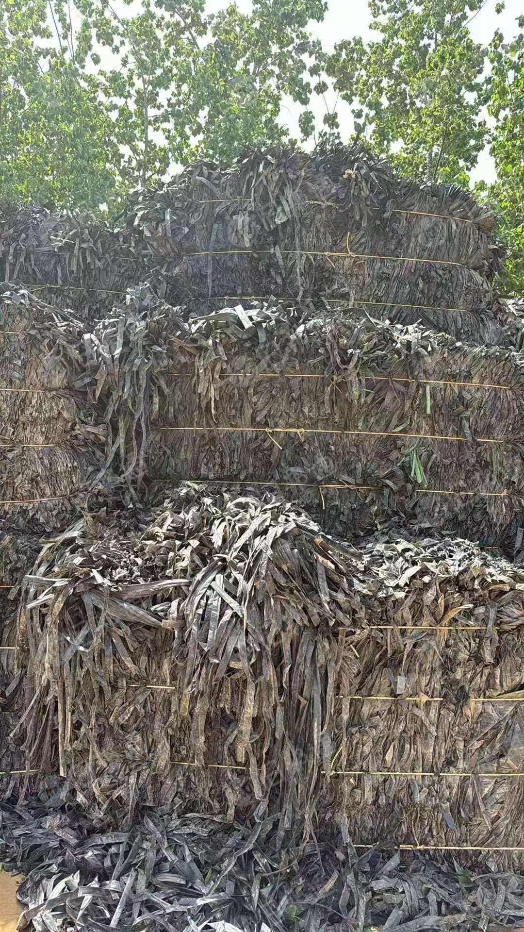 出售滴灌带废料，贴片和迷宫都有，现货300吨左右