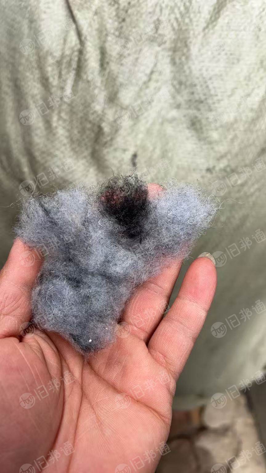 长期出售羊毛下脚料，羊毛纱线，羊毛边丝，都是含毛量80以上，货在河北保定