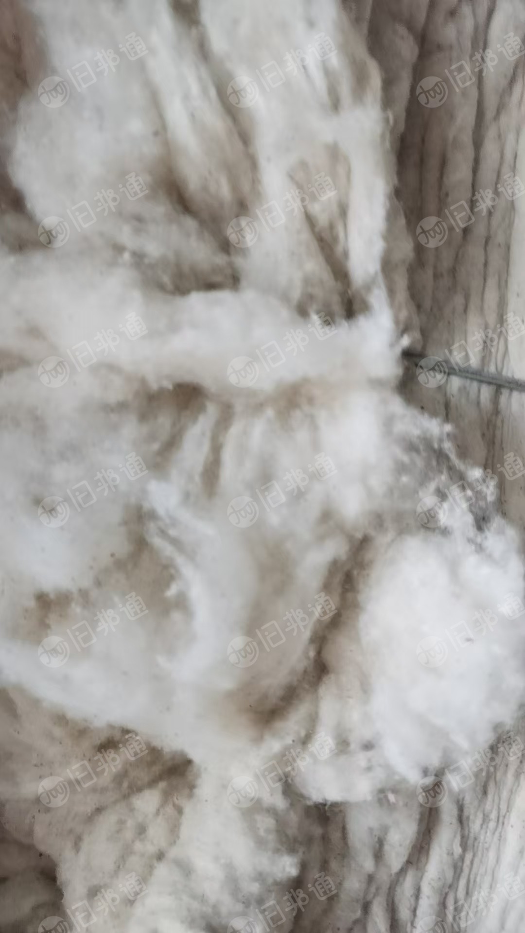 长期出售涤棉开花棉，开松棉，含棉95，现货68吨，在湖北黄冈