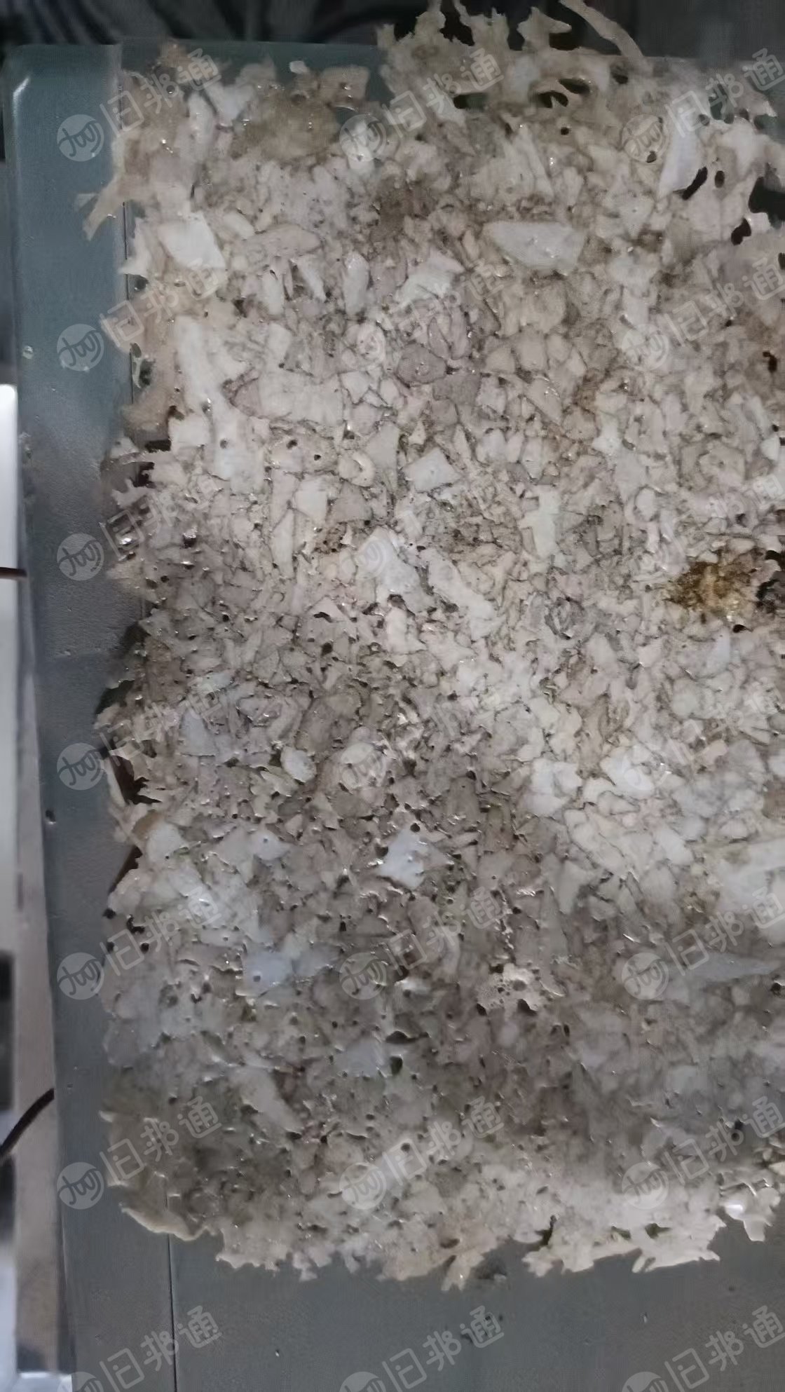 长期出售水洗PET吸塑盒破碎料