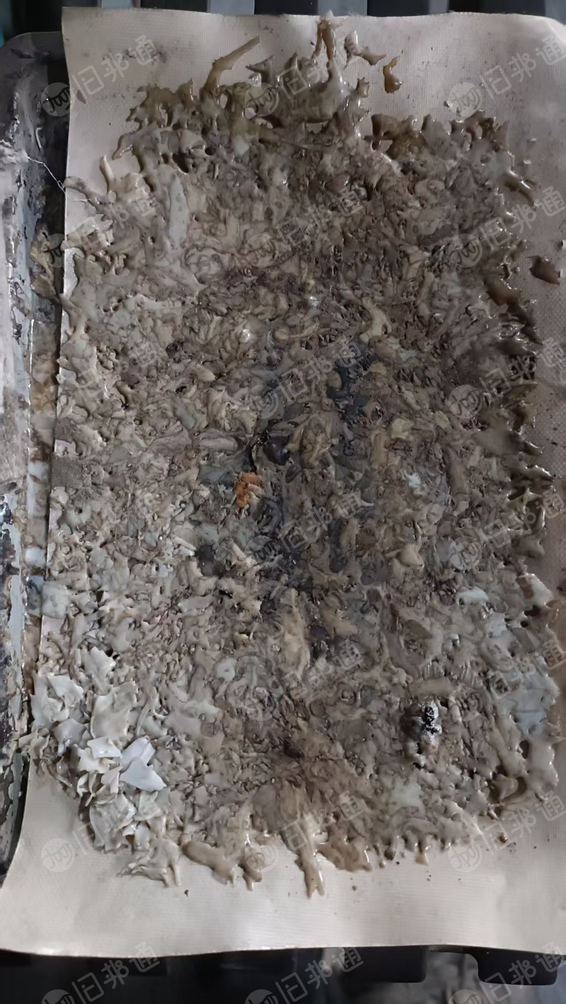 长期出售水洗PET吸塑盒破碎料