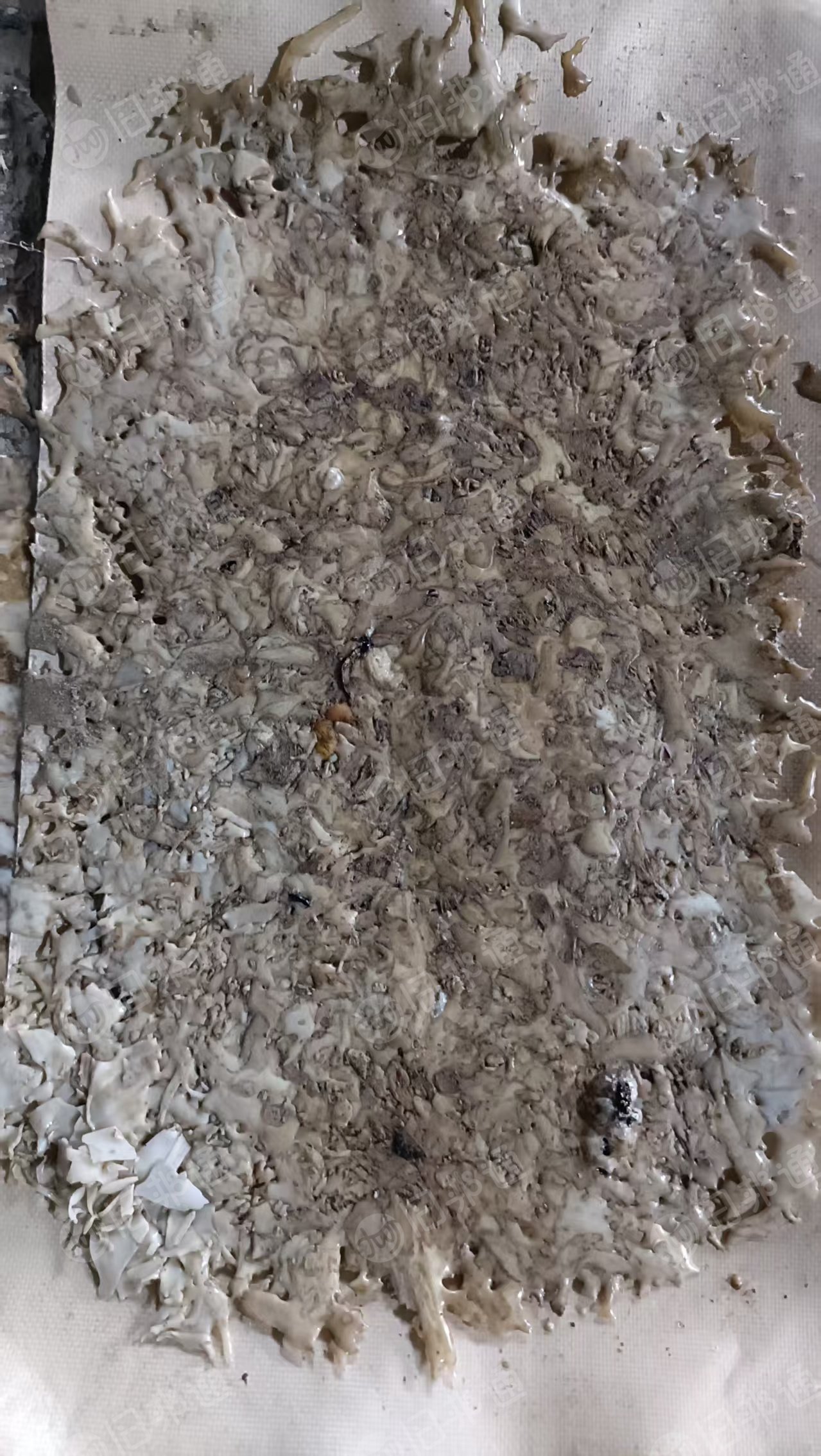 长期出售水洗PET吸塑盒破碎料