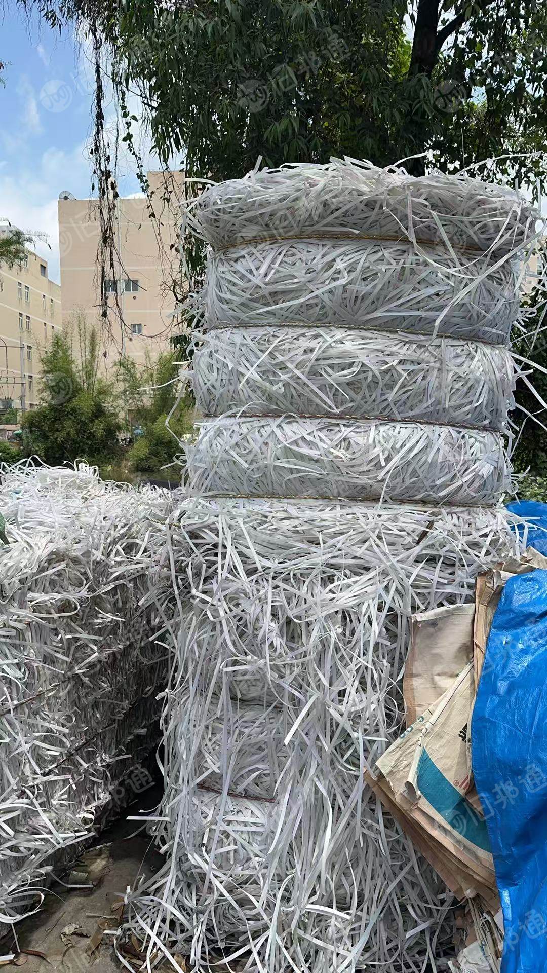长期出售透明pp打包带，现货十几吨