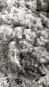 长期出售pc沫子料，pc含量95%