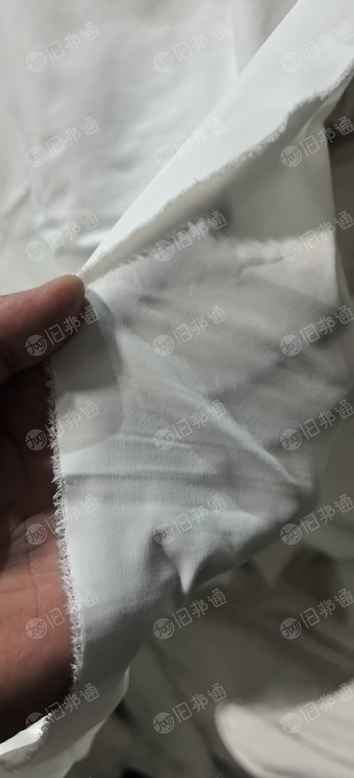 大量求购磨毛厂，定型厂,织布厂牛奶丝白坯布，牛奶丝坯布。