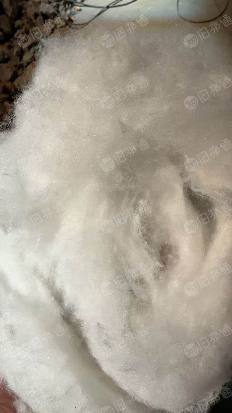 长期出售全涤纶原料化纤丝再生棉，有半麻，全麻，现货300吨