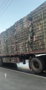 长期出售干造pp编织袋废料，纯纤维袋废料
