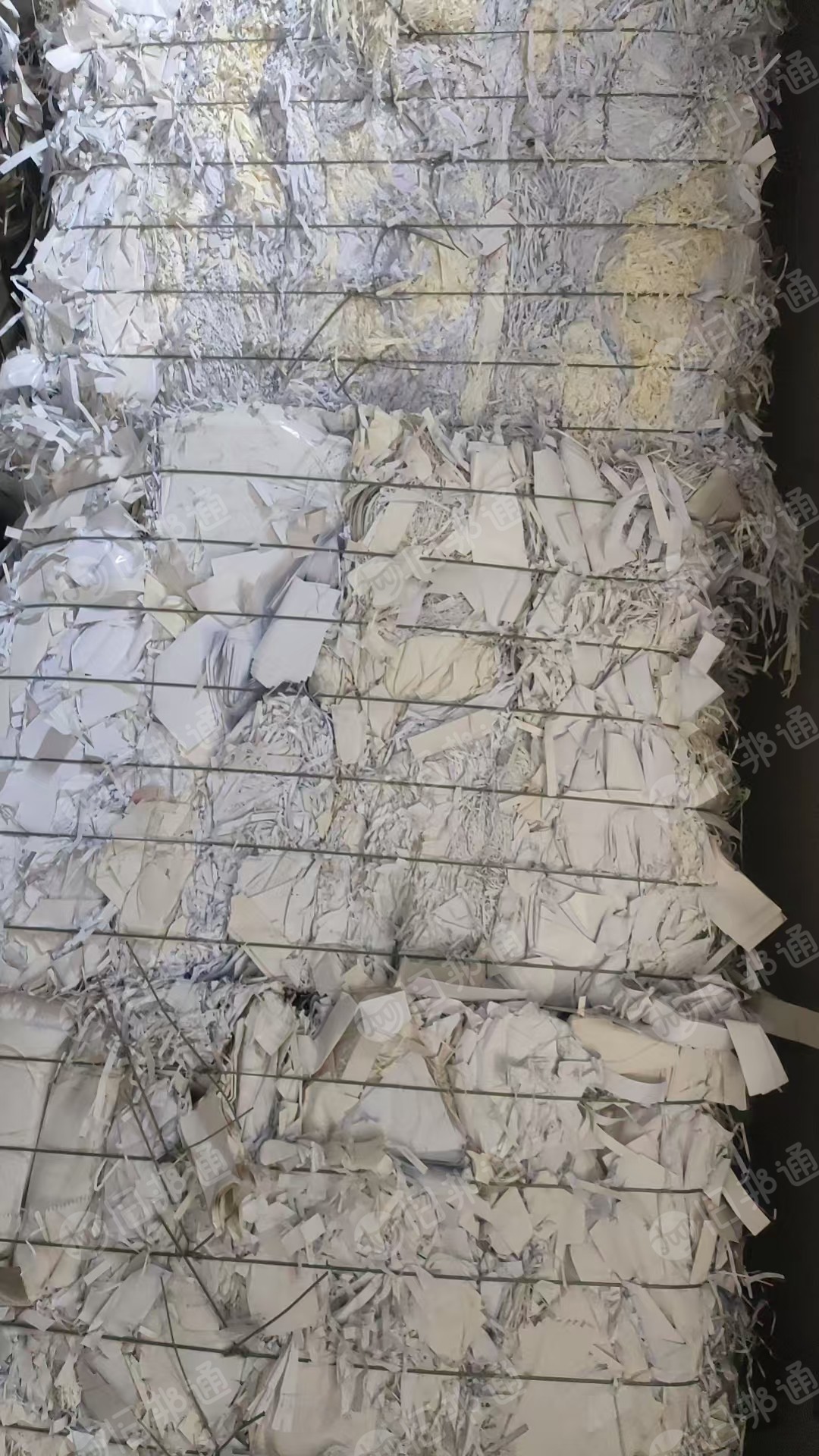 长期出售白纸边角料，不带膜，有少胶