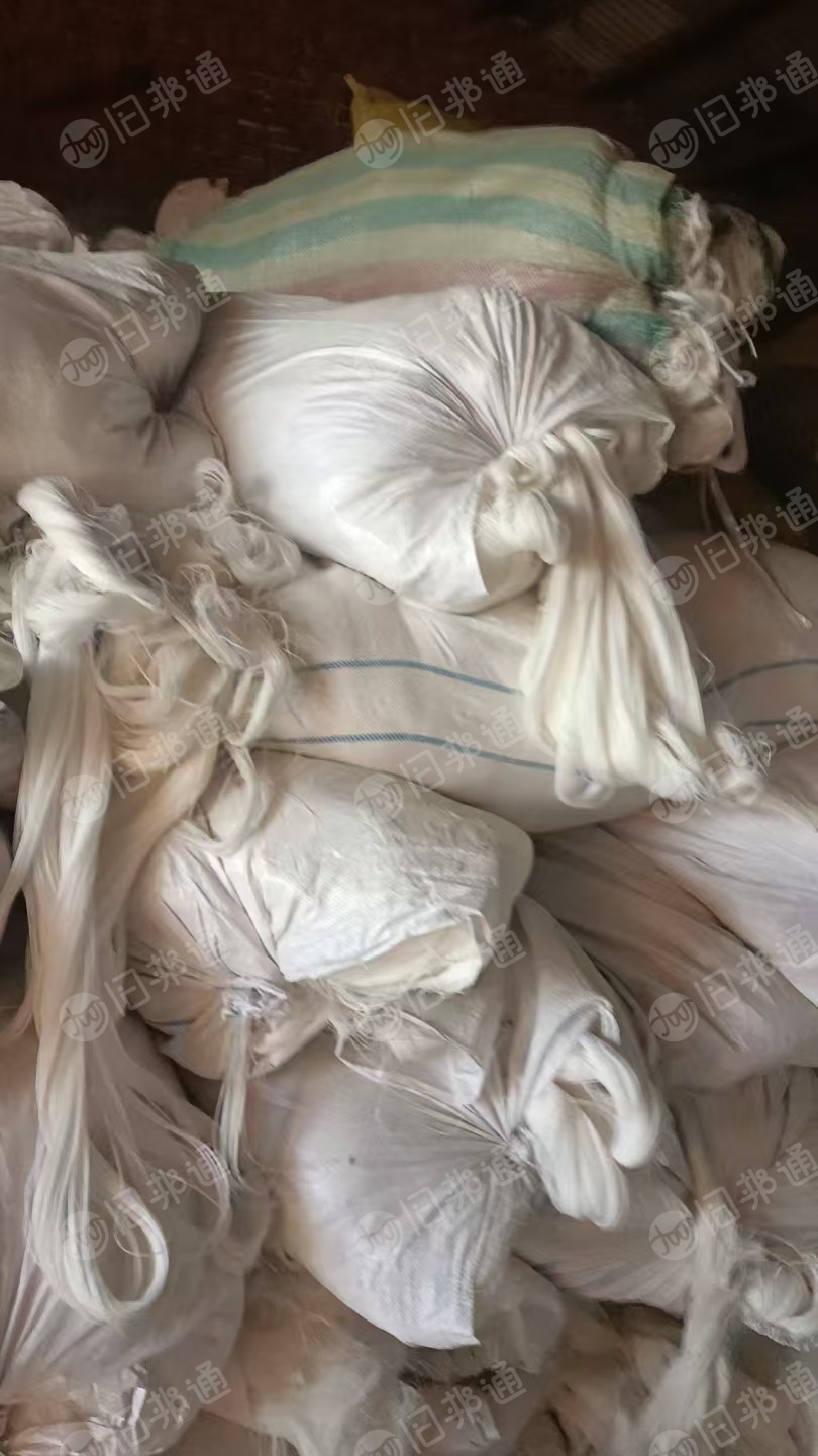 长期大量求购混纺浆纱混纺软线，纯棉浆纱和软线，山东潍坊