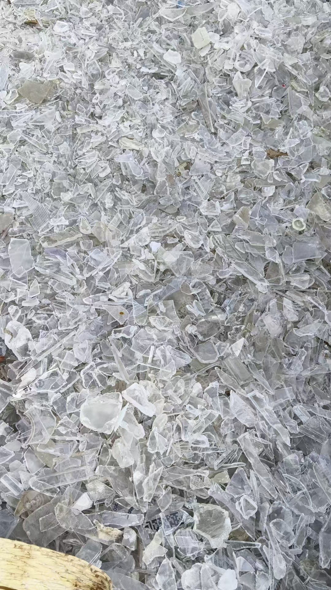 长期出售透苯破碎料