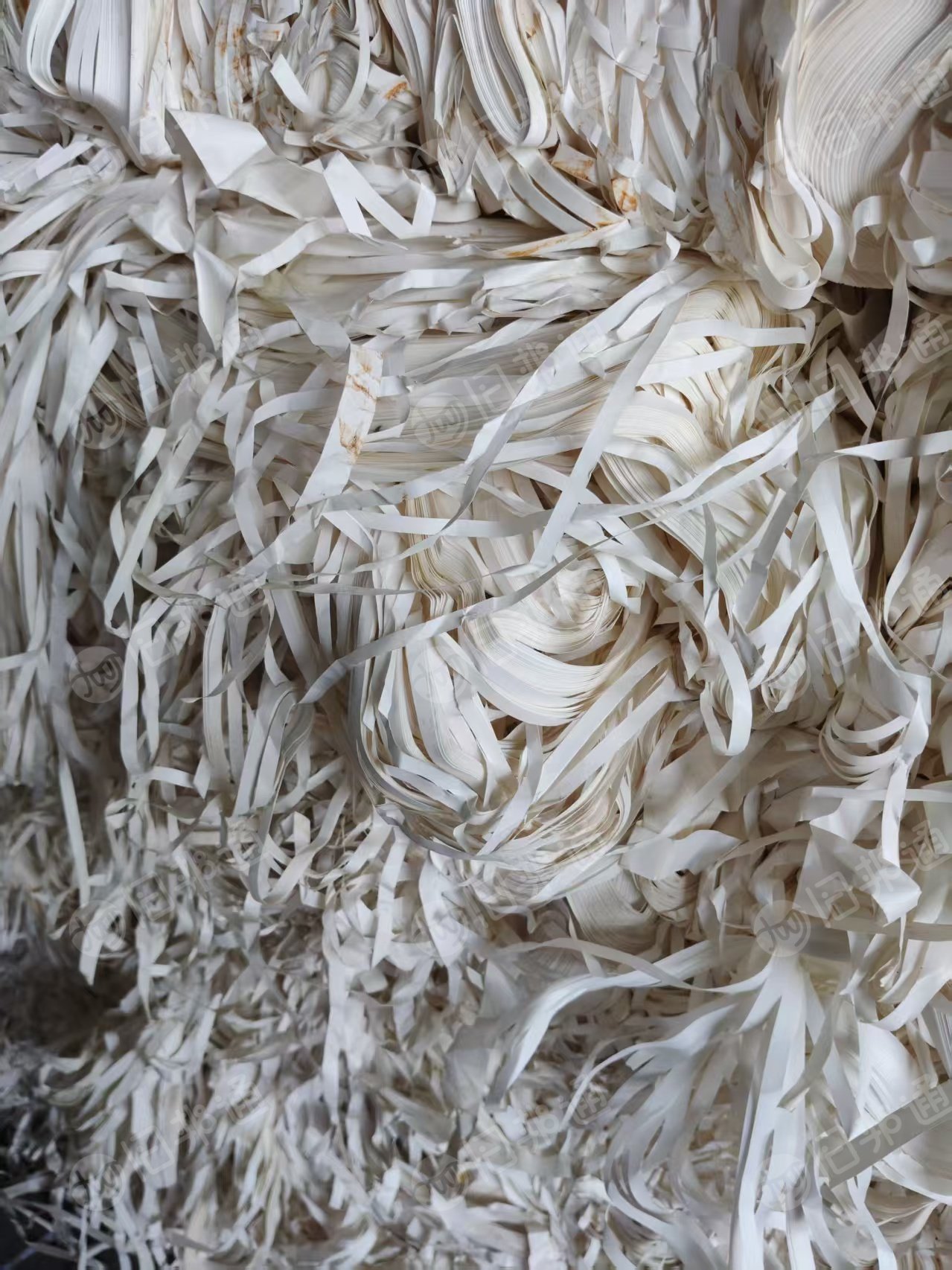 长期出售白牛皮纸边角料