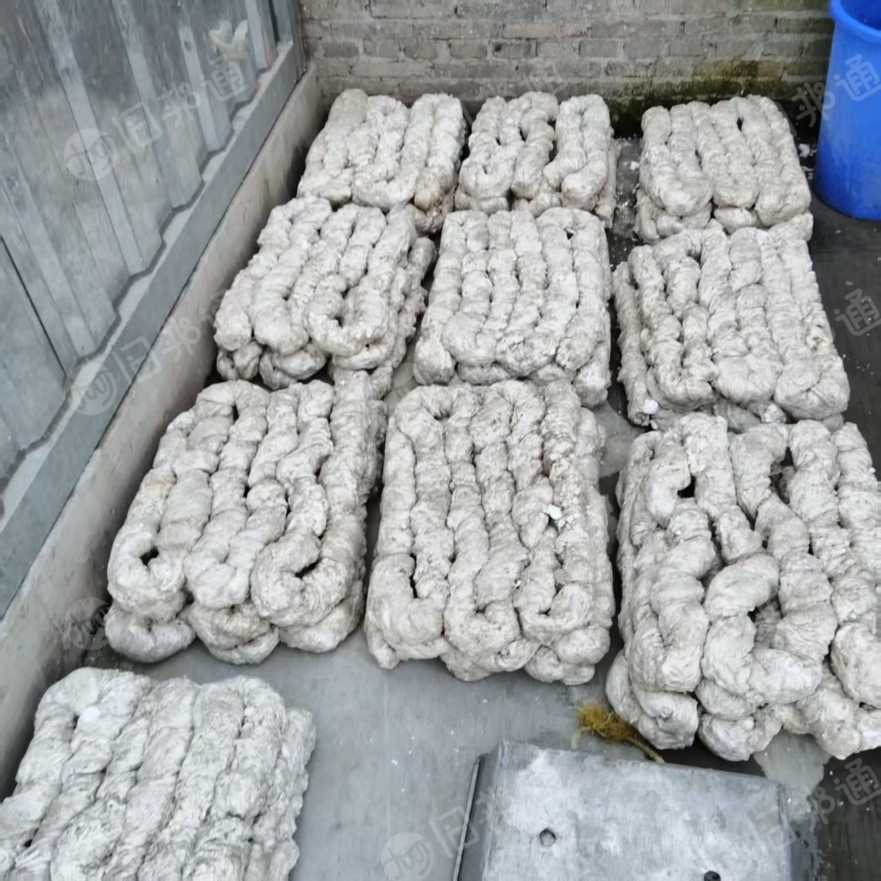 长期出售泡沫块，装海鲜用的，日出半吨