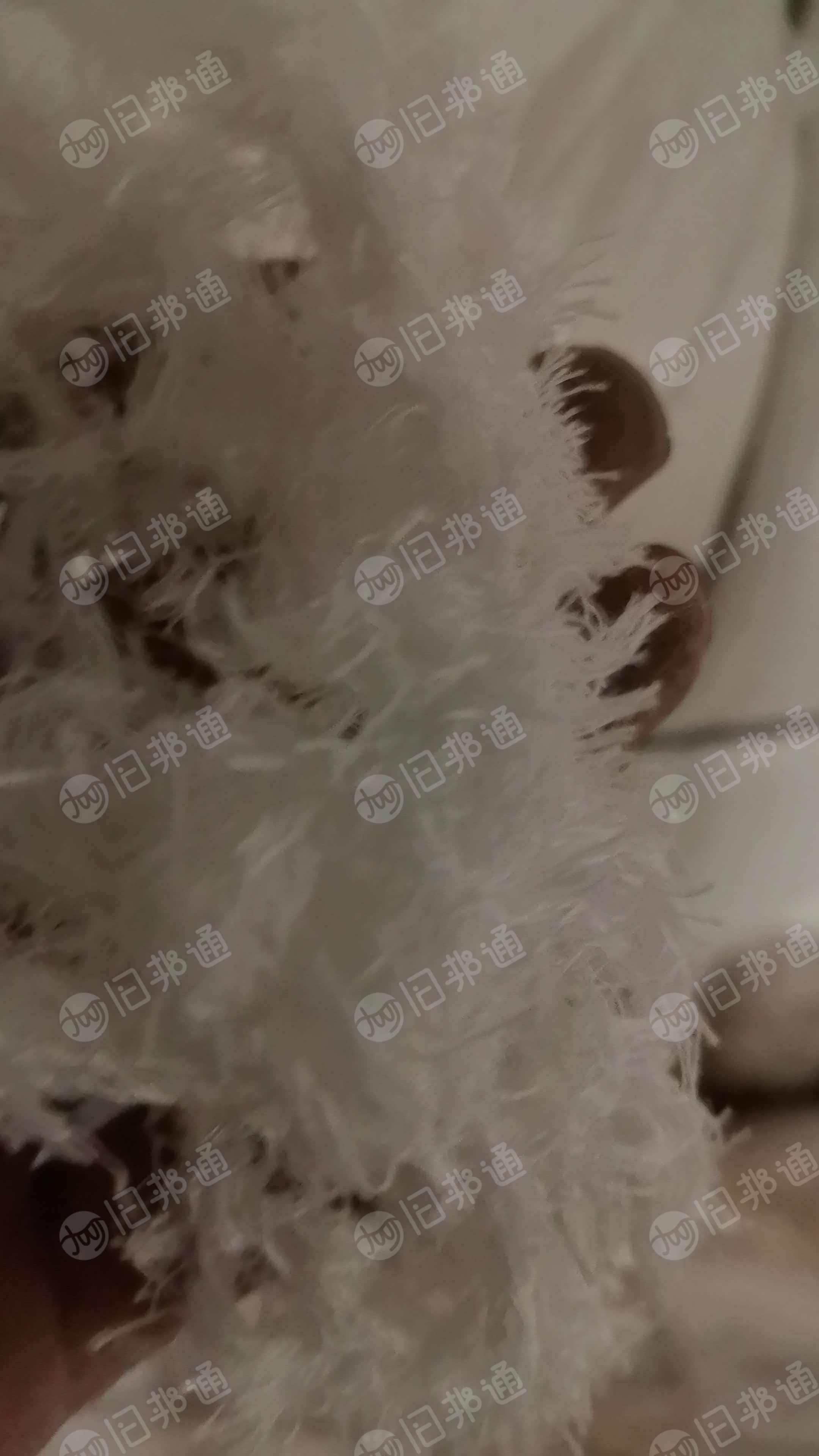 长期出售人棉布边，人棉布边纱，现货20吨，在浙江绍兴。